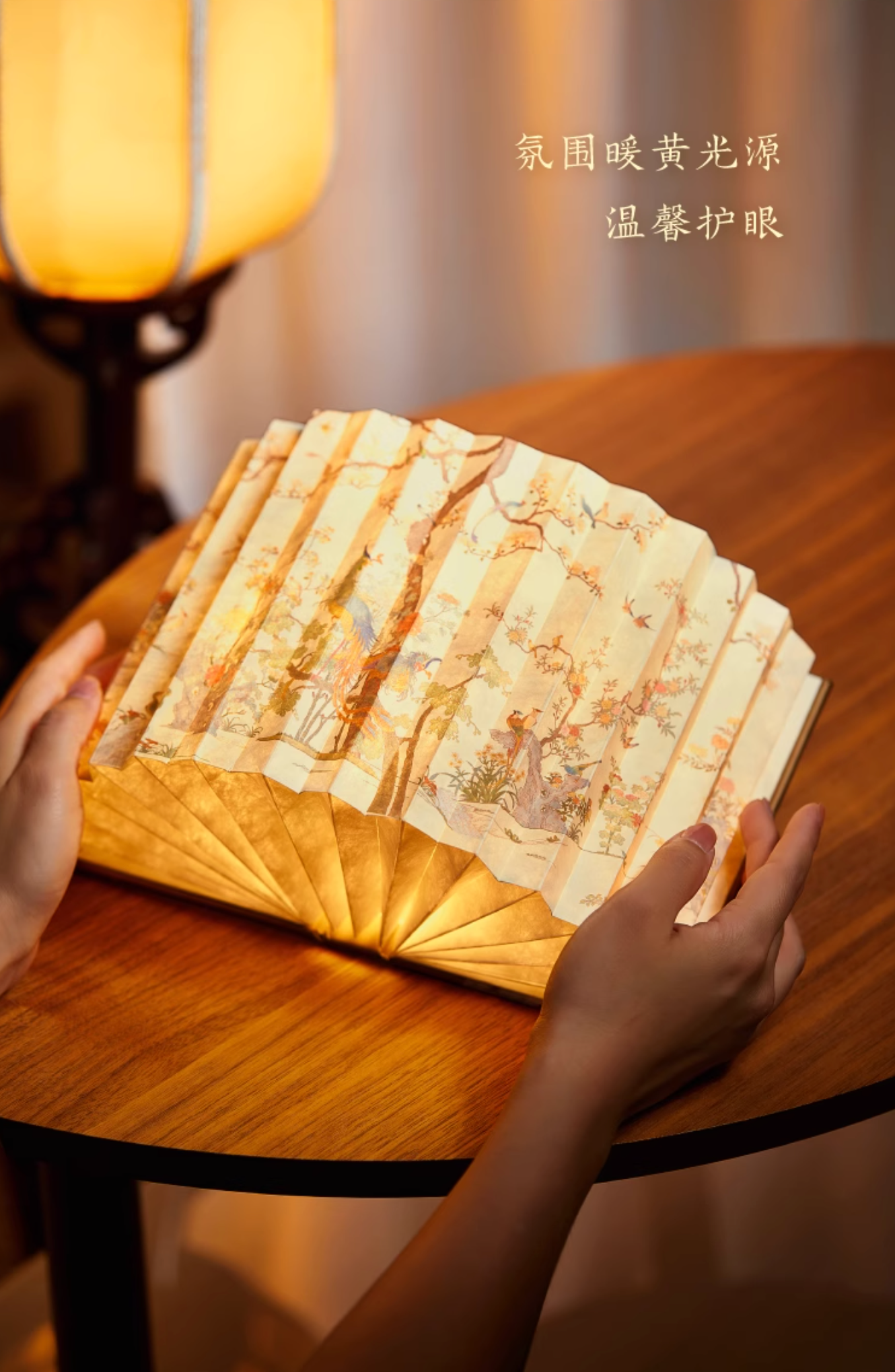 Phoenix & Hundred Birds Book Lamp Gift Set