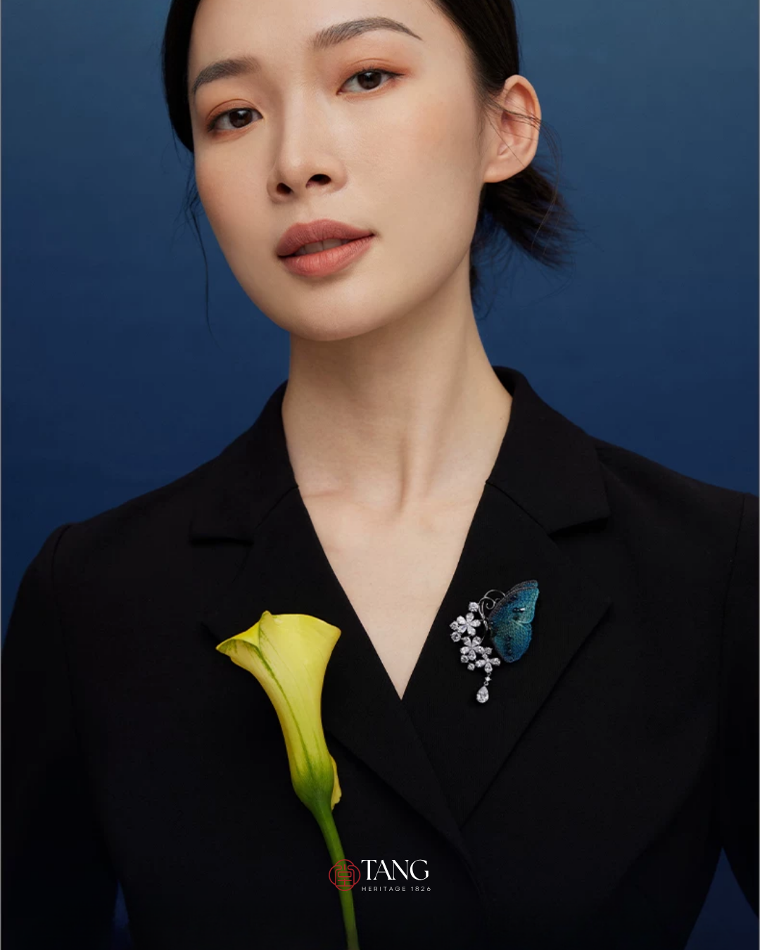 Dusk and Dawn Butterfly Brooch