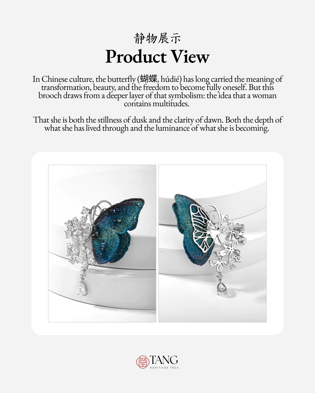 Dusk and Dawn Butterfly Brooch