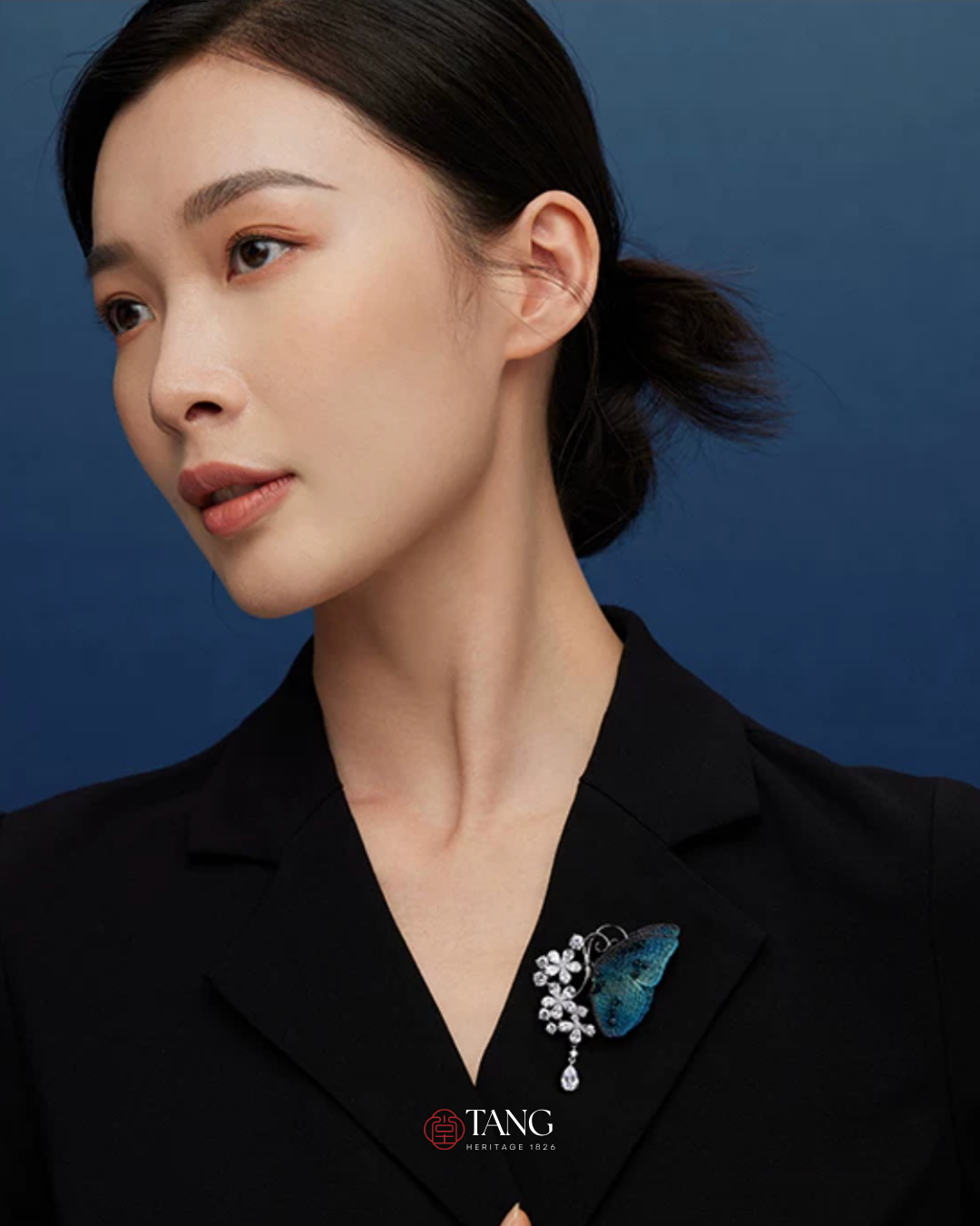 Dusk and Dawn Butterfly Brooch