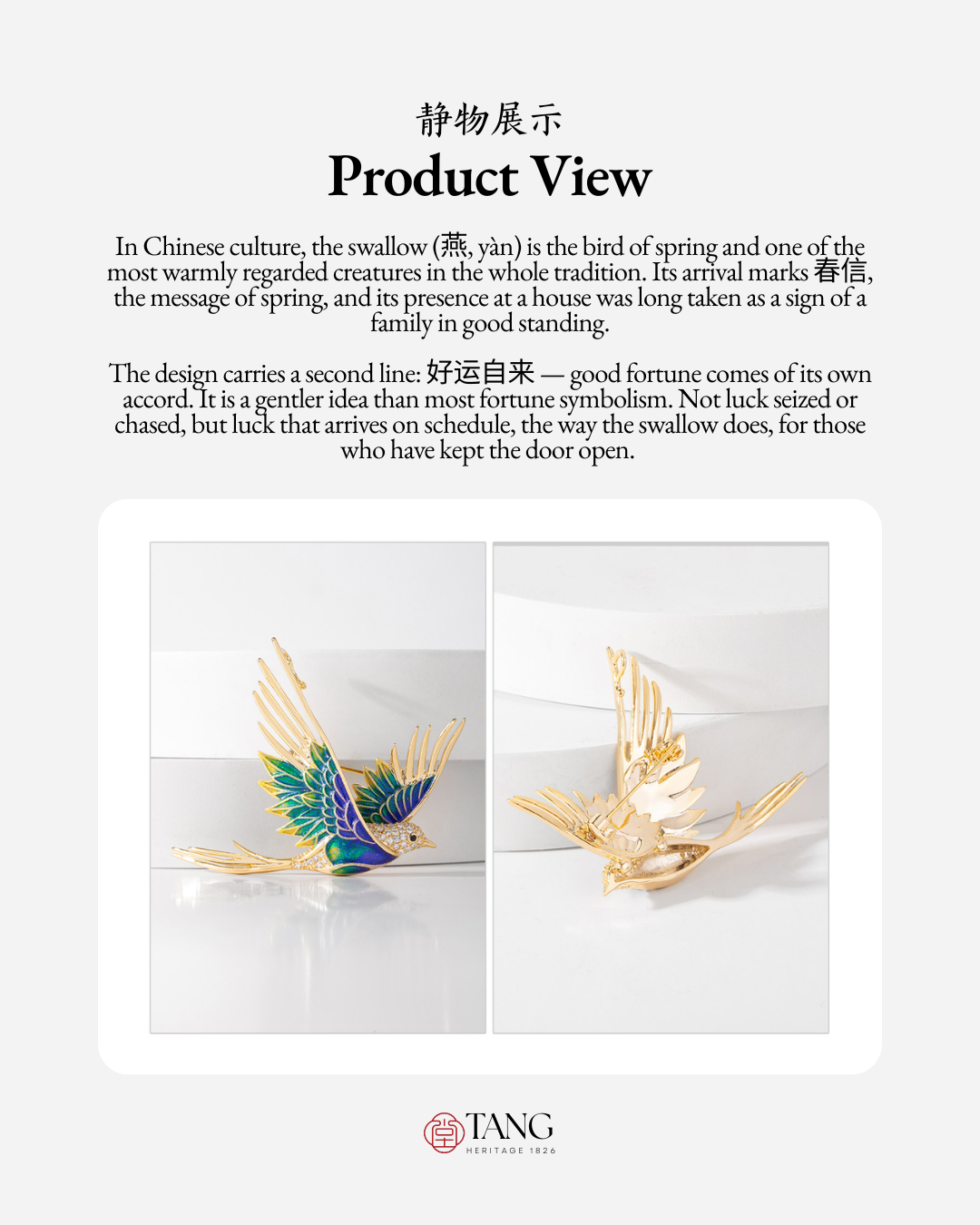 Spring Herald Swallow Brooch