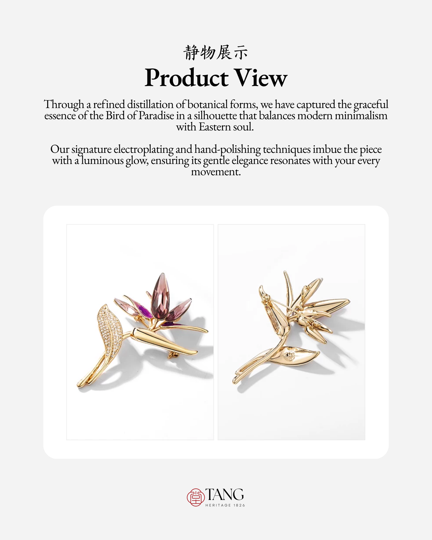 Orchid Whisper Brooch