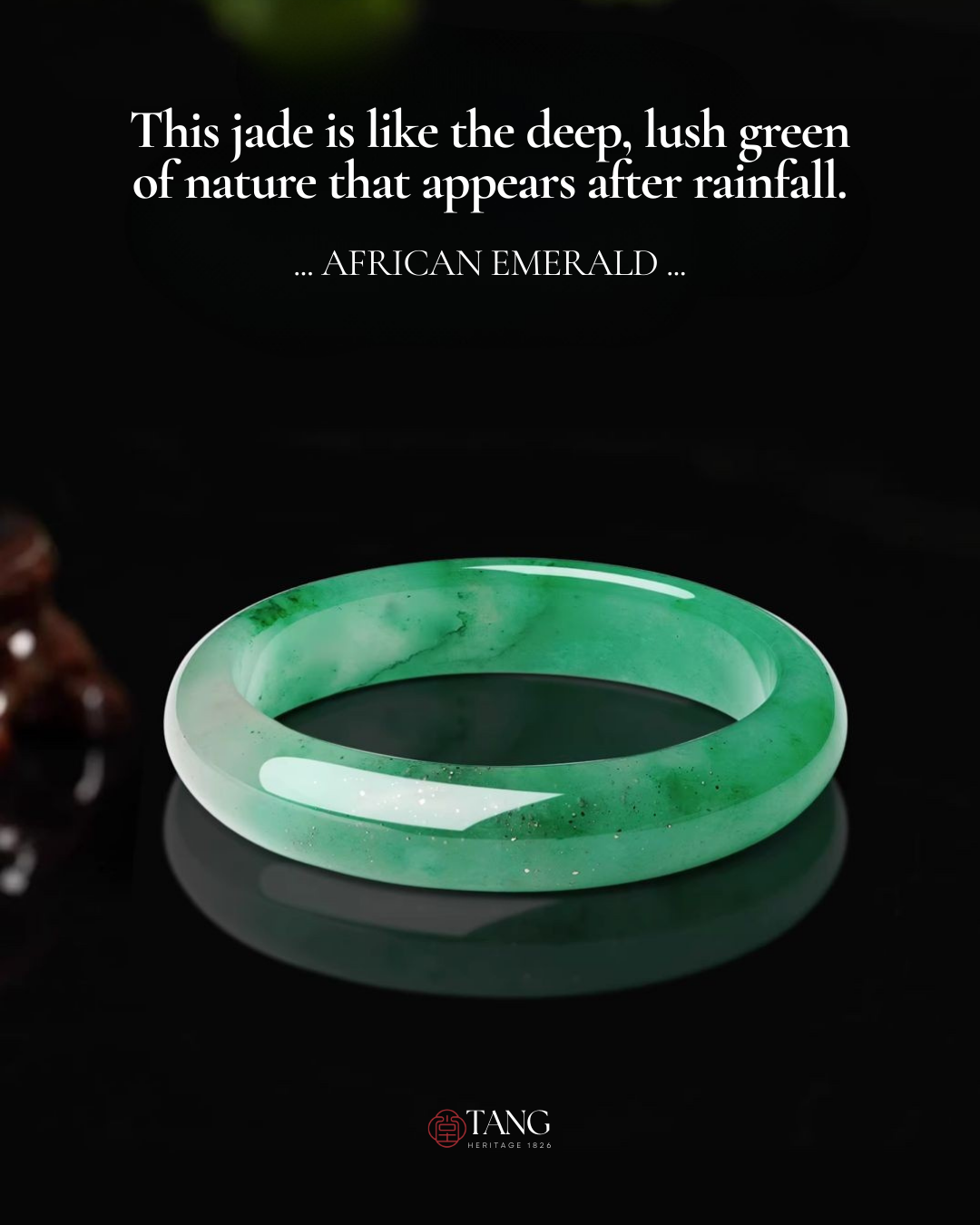 Mountain Mist African Jade Bangle – Tang Heritage