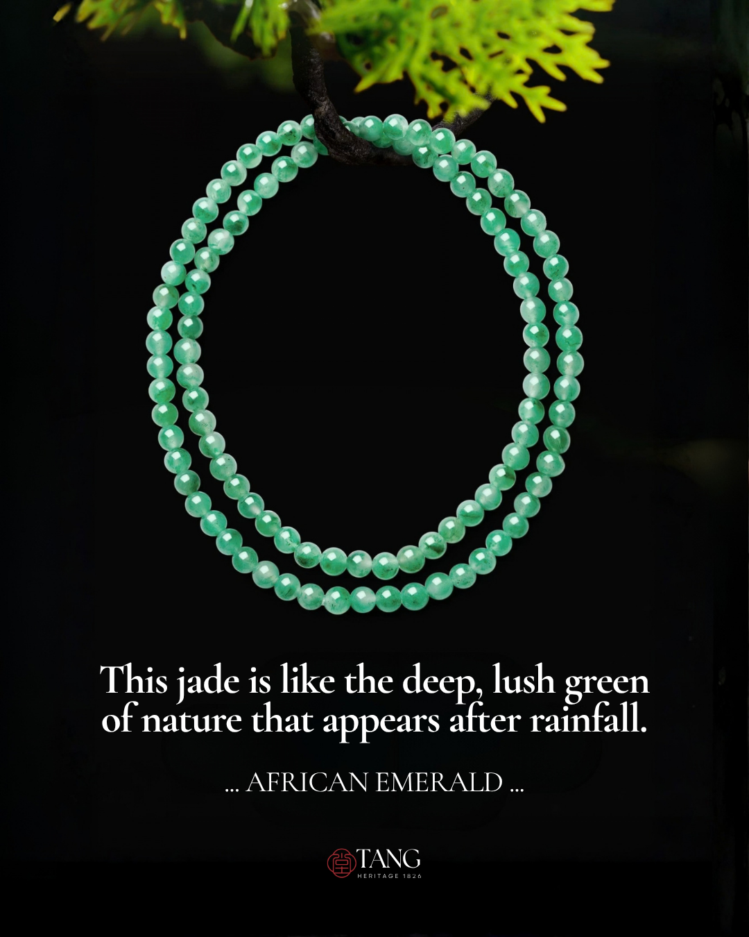 Mountain Mist African Jade Dual-Loop Beaded Bracelet